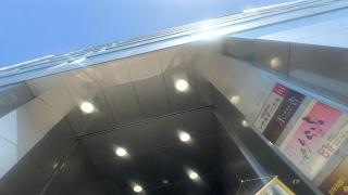 太平洋フェリー株式会社