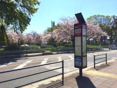 「志賀公園前」バス停留所