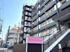 タイニーケーク（ＴＩＮＹ・ＣＡＫＥ）