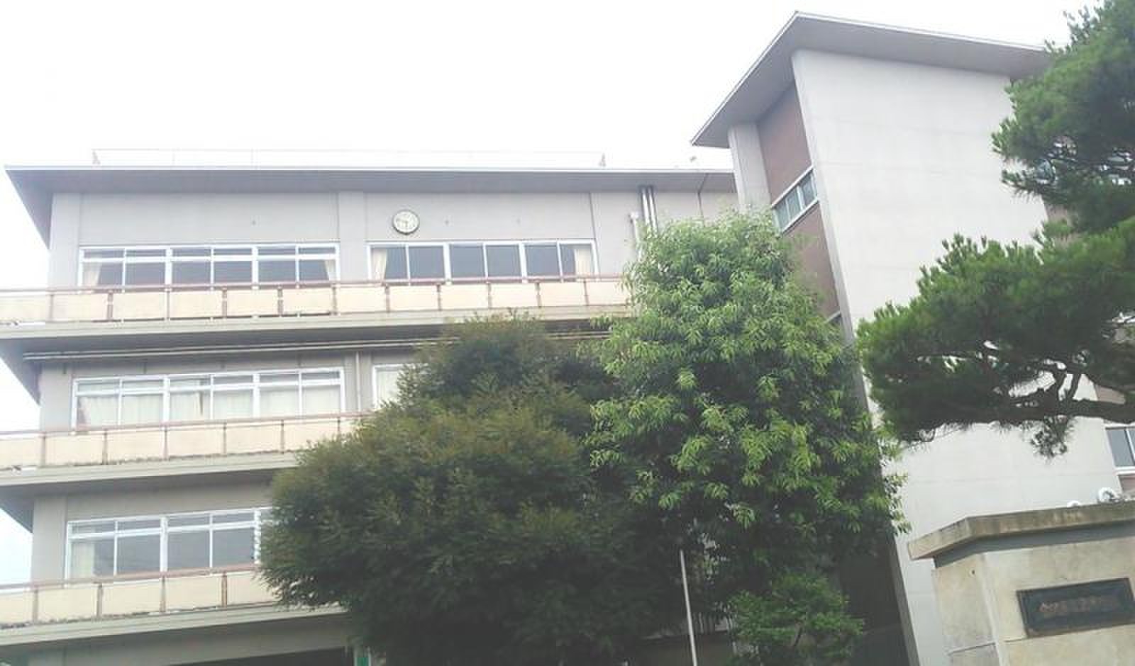 公の場での発言・インタビュー報道記録
