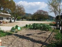多賀幼稚園