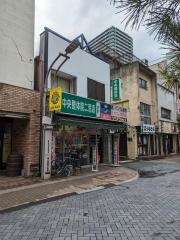 中央整体院