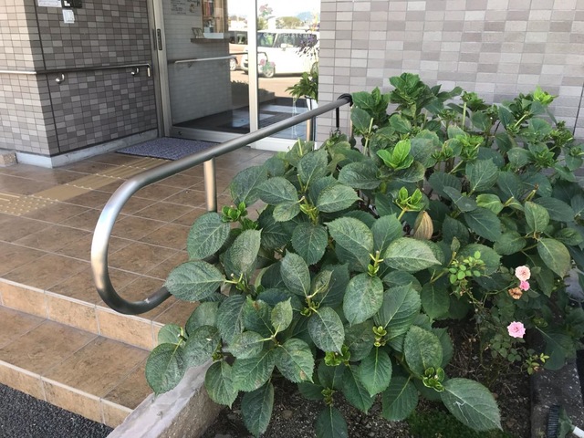 愛の家グループホームさかほぎ