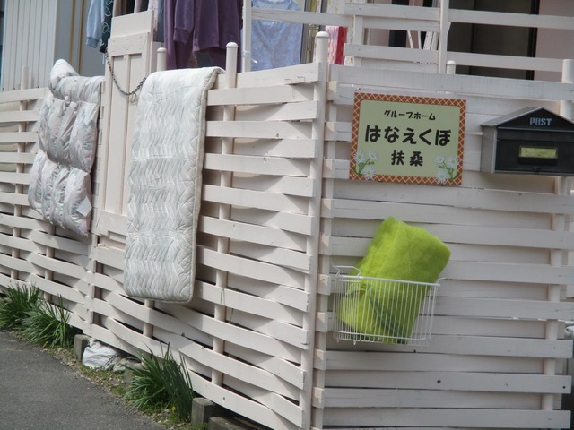 はなえくぼ扶桑