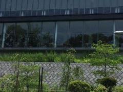 鶴見大学
