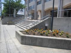 津田小学校