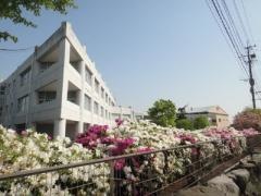 福岡県立朝倉東高等学校