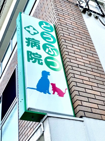 投稿写真2