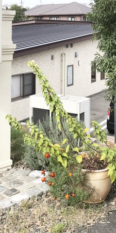 社会福祉法人常仁会　地域密着型特別養護老人ホーム　八事の杜 施設外観