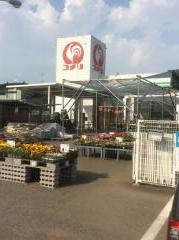 コメリハード＆グリーン　南原店