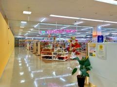 ザ・ダイソー　ヤオコー川越山田店