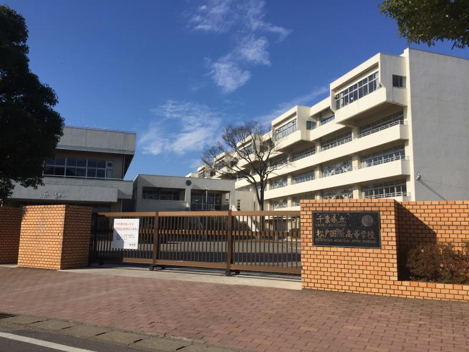 松戸 国際 高校