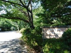 つつじ公園