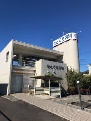 せとぐち内科
