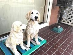 八木ペットクリニック