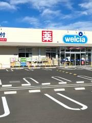 ウエルシア毛呂山平山店