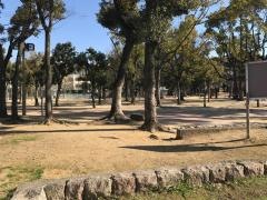 晴明丘中央公園