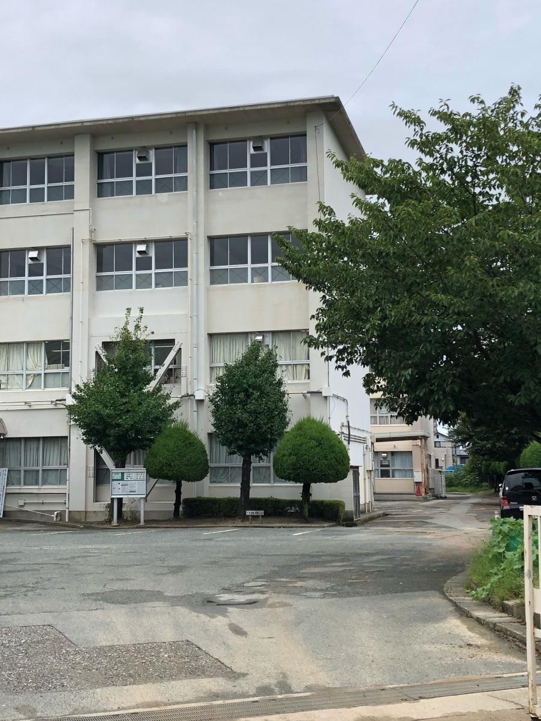 活動歴および当時の関連ビジュアル記録
