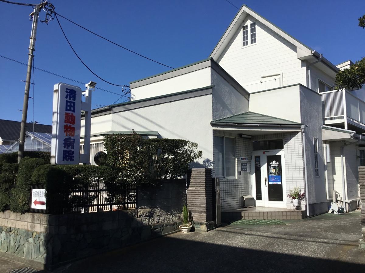清田動物病院