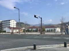 ペルテフォーリア