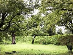 鷹揚公園