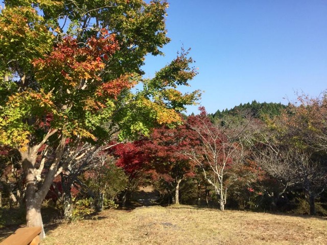 施設写真2