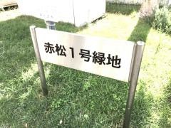 赤松一号緑地