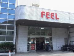 フィールアストリー