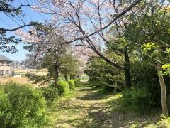 大高台緑道
