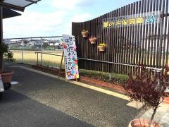 特定非営利活動法人夢の木保育園