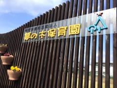 特定非営利活動法人夢の木保育園
