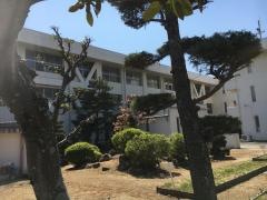 陶小学校