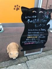 タビー動物病院