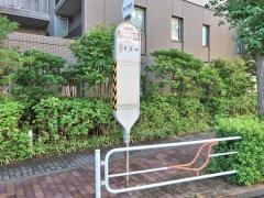 「天神町幼稚園前」バス停留所