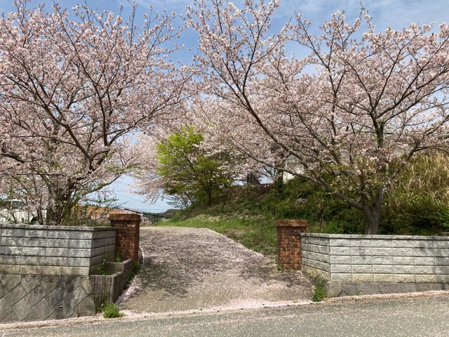 福間 雰囲気