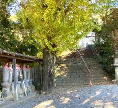 大庵寺