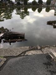 猿沢池