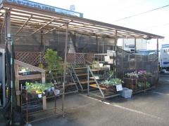 ホームセンタービルド海南店