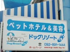 ドッグリゾートＣＳ