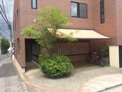 むらせ医院