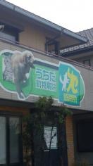 うちだ動物病院