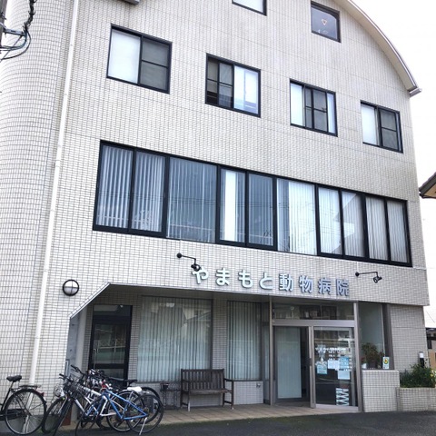 投稿写真3