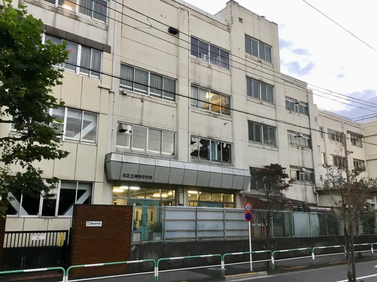 裏手側から