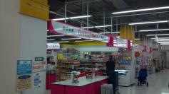 ザ・ダイソー　フジ上野川店