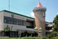 中央幼稚園