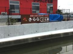 きらら保育園