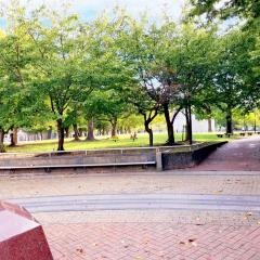 冷泉公園