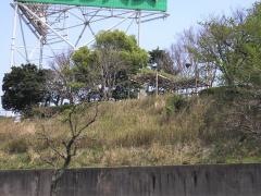 第7号下臼井緑地