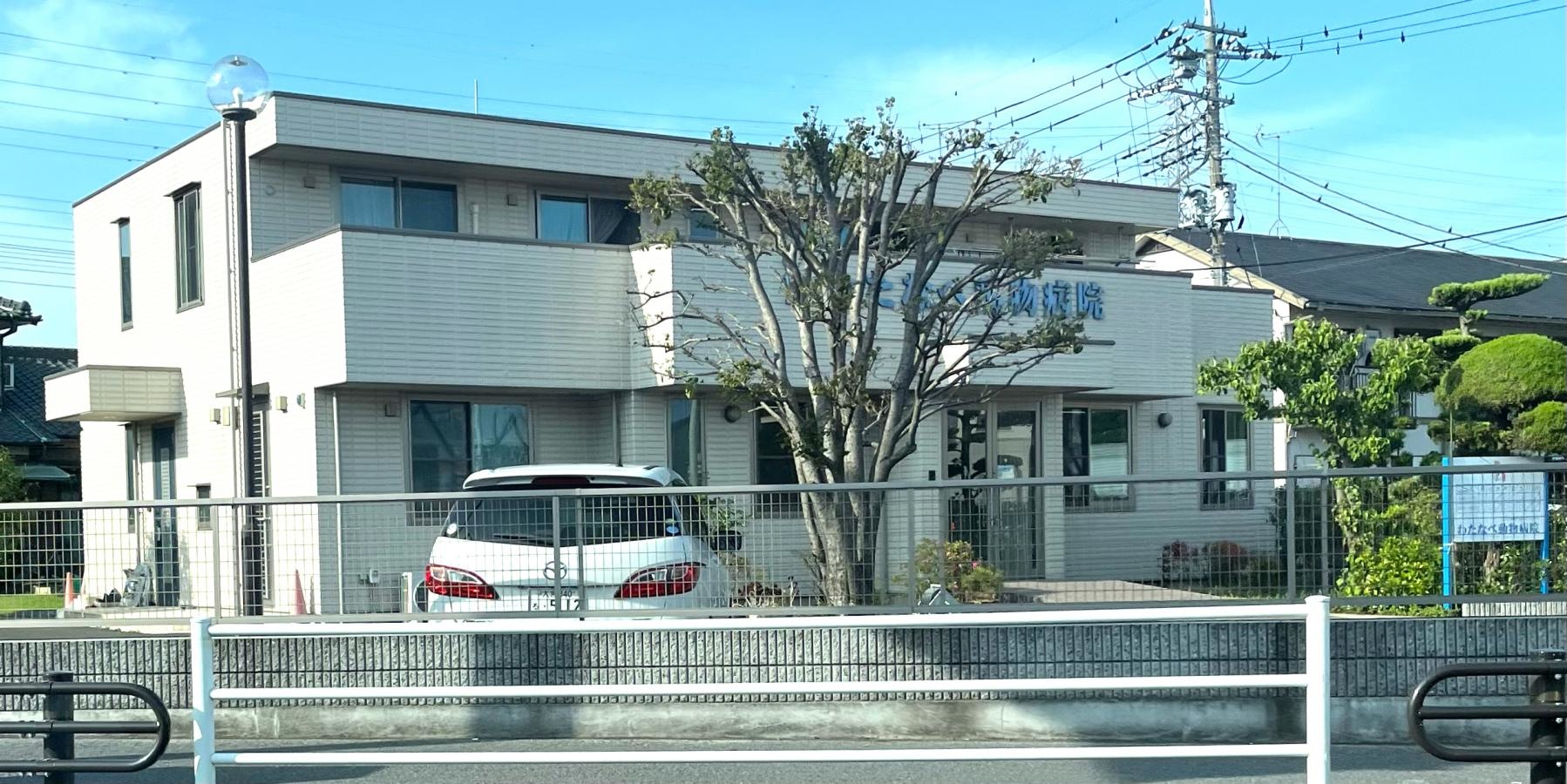 わたなべ動物病院