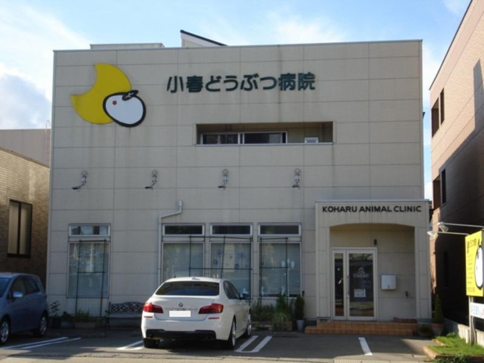 小春 どうぶつ 病院